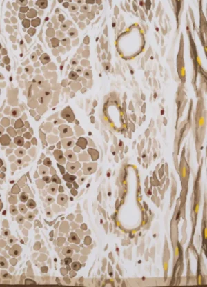 UNTUCKit Gloves, Scarves & Hats*Accessories By Park Lane Sophia Scarf