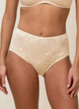 UNTUCKit Briefs*Triumph Amourette Charm Maxi Briefs